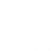 Tacos & Avocados